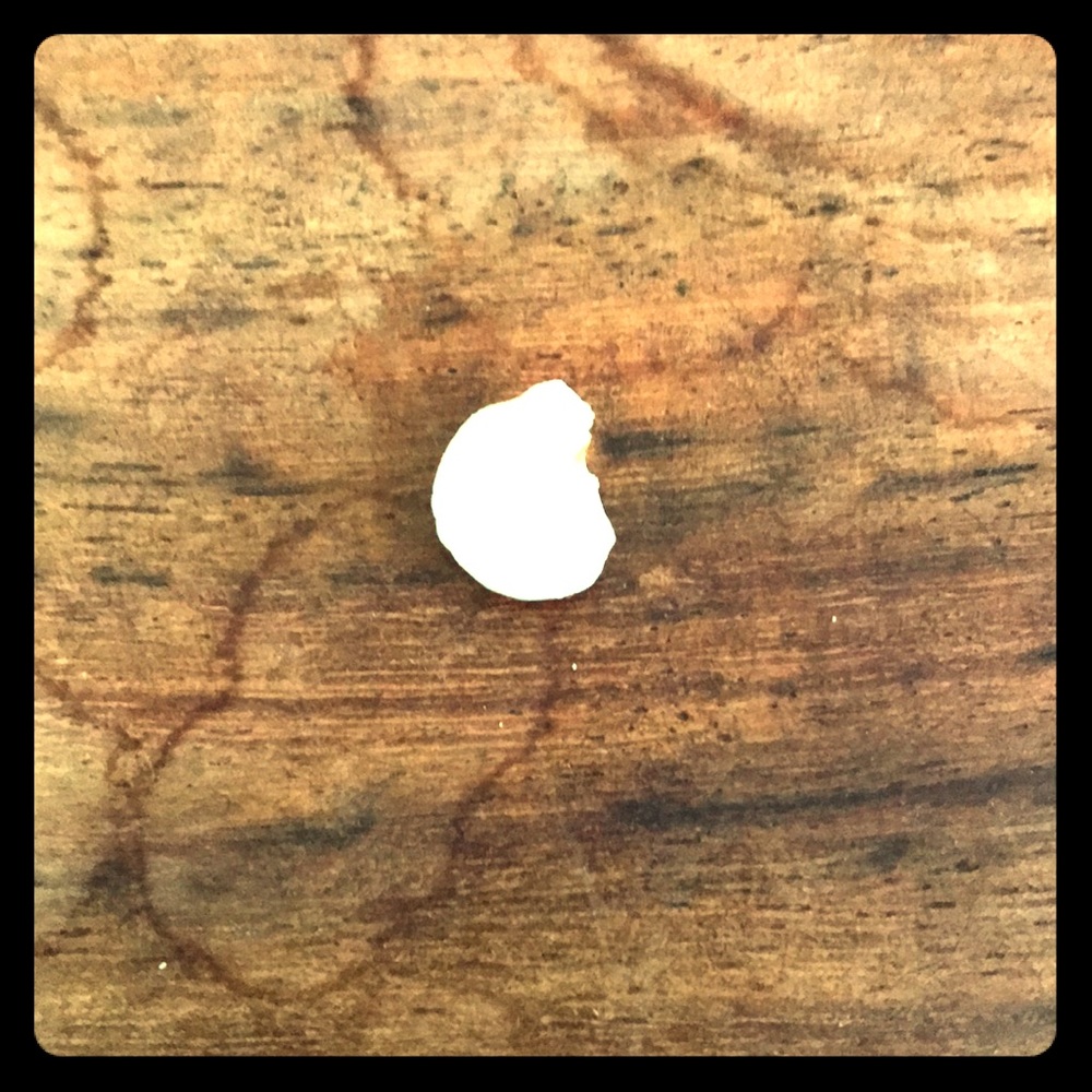 Piece of popcorn